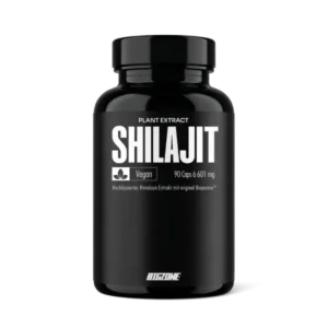 Big Zone Shilajit 90 Kapseln