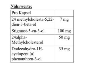 Megabol Testosterol 250 - 30 Kapsel
