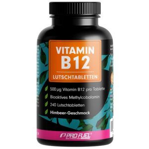 ProFuel VITAMIN B12 - 240 Lutschtabletten INAKTIV!!!