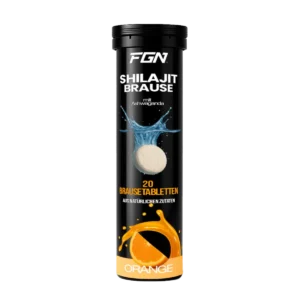 FGN Shilajit 20 Brausetabletten