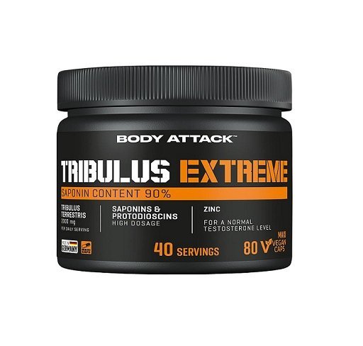 Body Attack Tribulus Extreme - 80 Caps 1 body attack tribulus extreme 80 caps Body Attack Tribulus Extreme - 80 Caps
