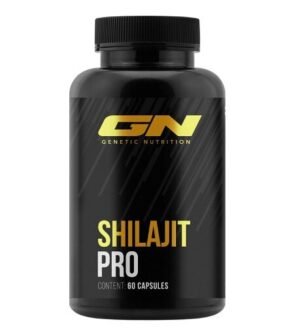 GN Shilajit PRO 60 Kapseln